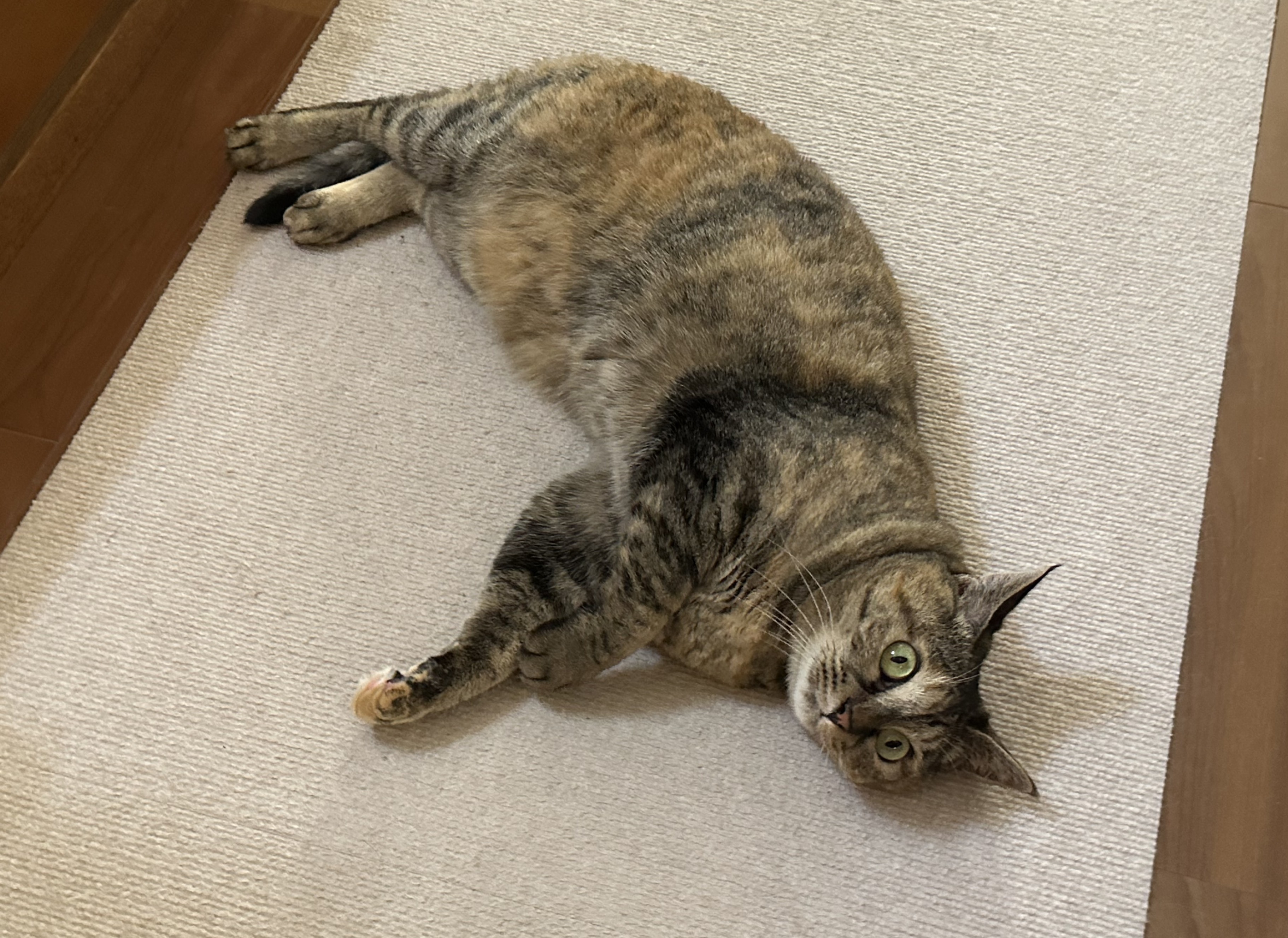 ようやく秋の気候になりました🍁