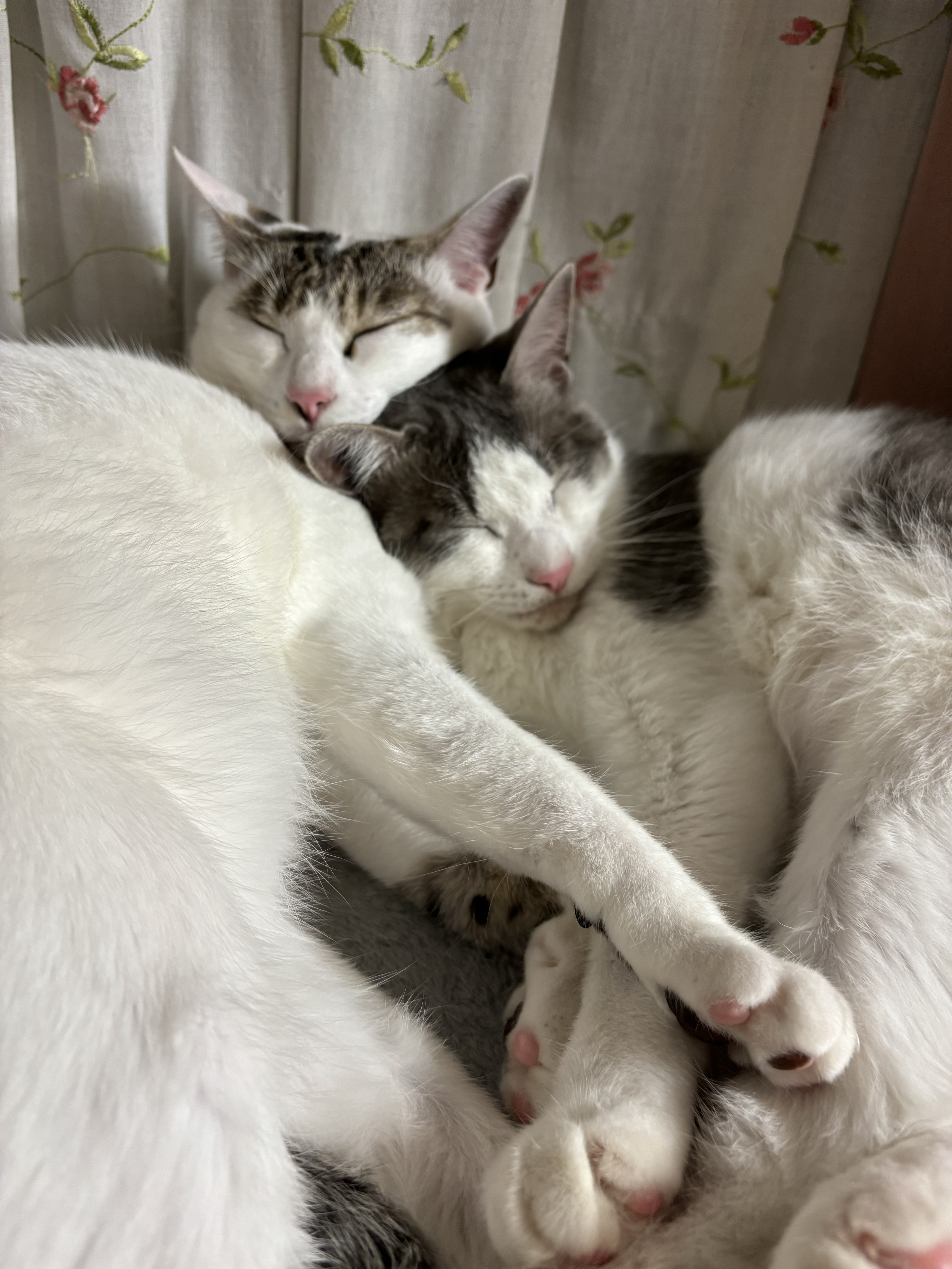 はじめまして!
